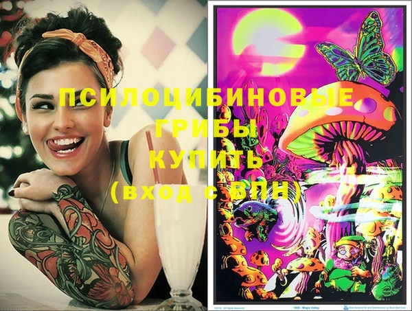 не бодяженный Переславль-Залесский