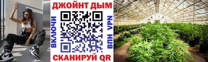 Шишки марихуана марихуана  Купить  Старая Русса 